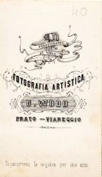 marchio Wood 1